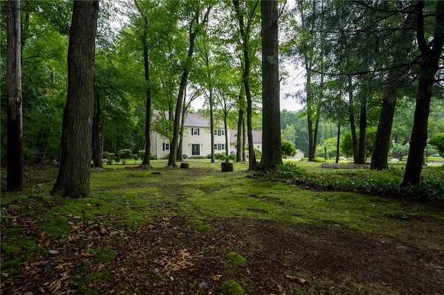 31 Killian Rd, Johnston, RI 02919 - photo 26