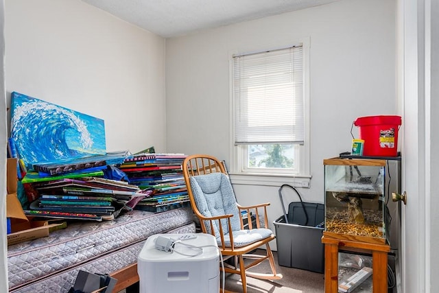 66 Clemence St, Cranston, RI 02920 - photo 27