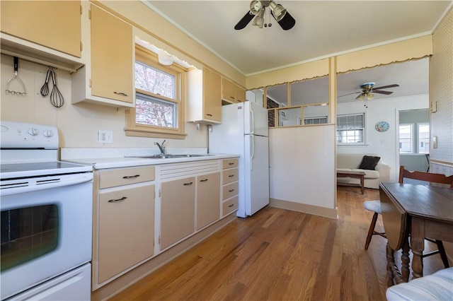 22 Rabbit Run, Westerly, RI 02891 - photo 23