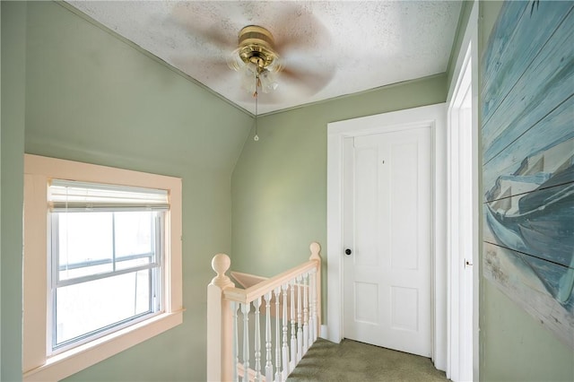 21 Wilcox St, Warwick, RI 02889 - photo 21