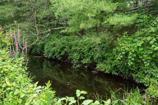48 Shea Ln, Burrillville, RI 02859 - photo 20
