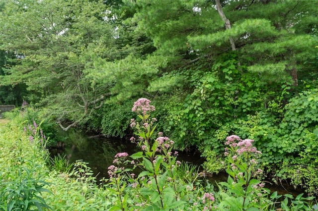 48 Shea Ln, Burrillville, RI 02859 - photo 21