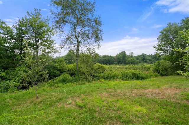 48 Shea Ln, Burrillville, RI 02859 - photo 22