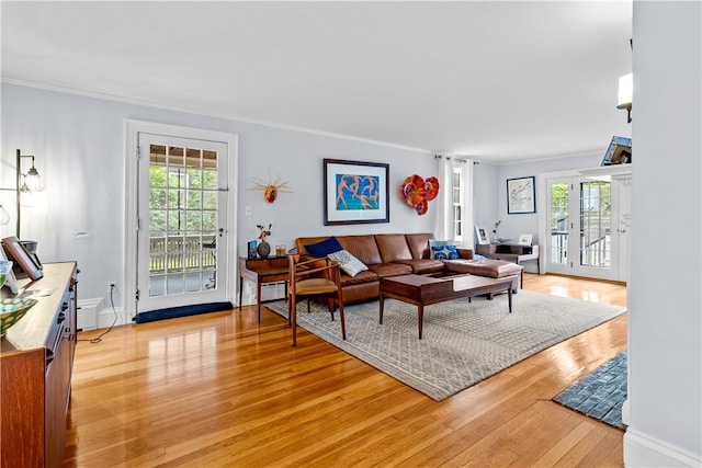 333 Clark Rd, Brookline, MA 02445 - photo 11