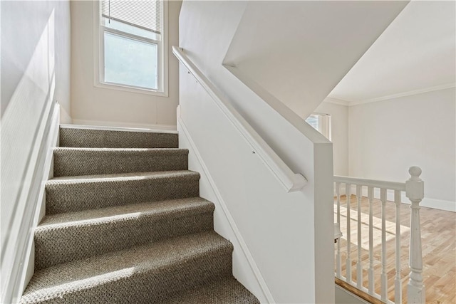 5 Morrill Ln Unit C, North Providence, RI 02904 - photo 12