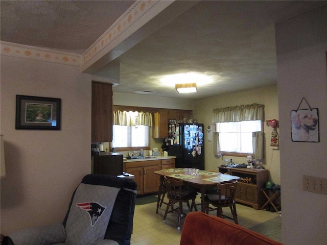 dining room with plenty of natural light and sink