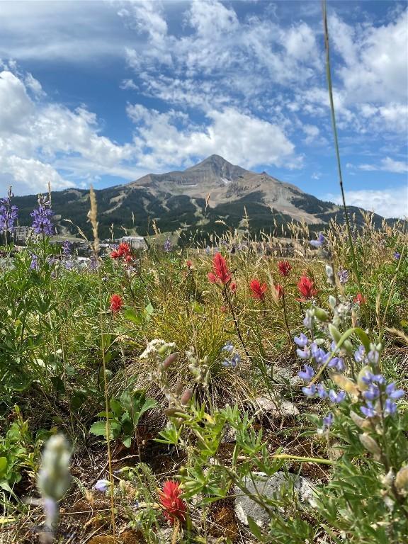 27A Heavy Runner Rd Unit 27A, Big Sky, MT 59716 - photo 51