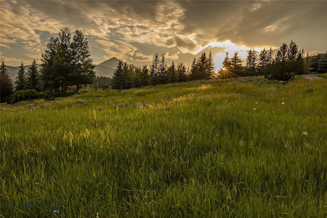 2775 Bobtail Horse, Big Sky, MT 59716 - photo 1