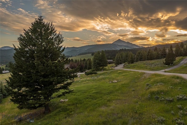 2775 Bobtail Horse, Big Sky, MT 59716 - photo 2