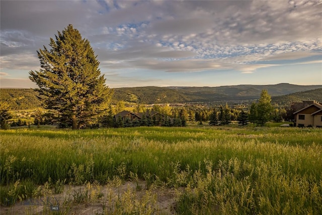 2775 Bobtail Horse, Big Sky, MT 59716 - photo 4