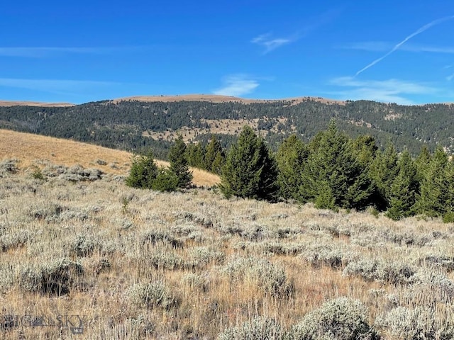 200 Mountain View Trl, White Sulphur Springs MT, 59645 land for sale