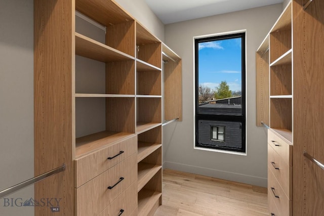 spacious closet with light wood-style floors