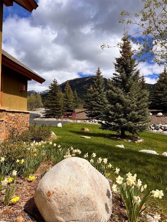 view of yard with a mountain view