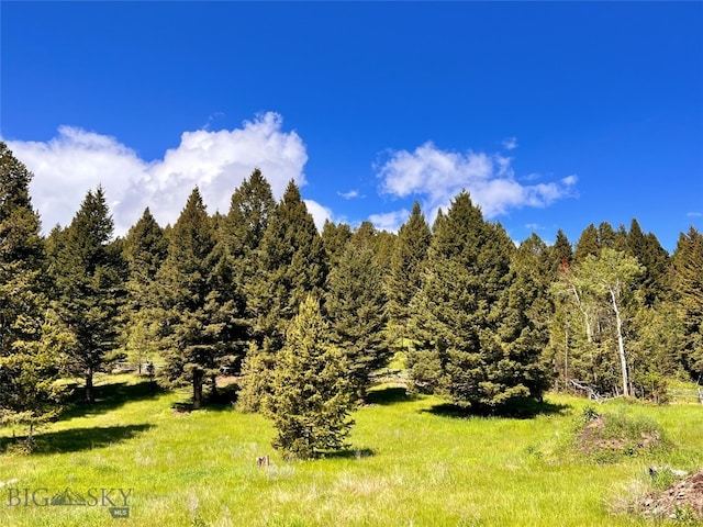 Listing photo 3 for LOT2 Riverview Ln, Gallatin Gateway MT 59730