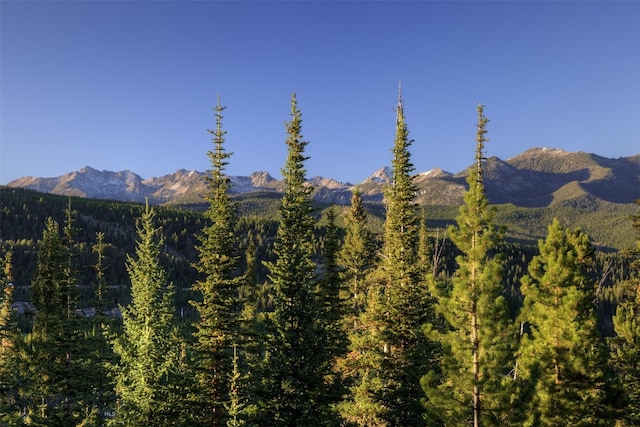 property view of mountains