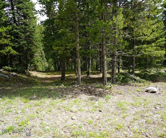 Listing photo 3 for TBD Low Dog Rd, Big Sky MT 59716