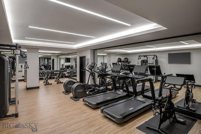 workout area featuring a tray ceiling and wood finished floors