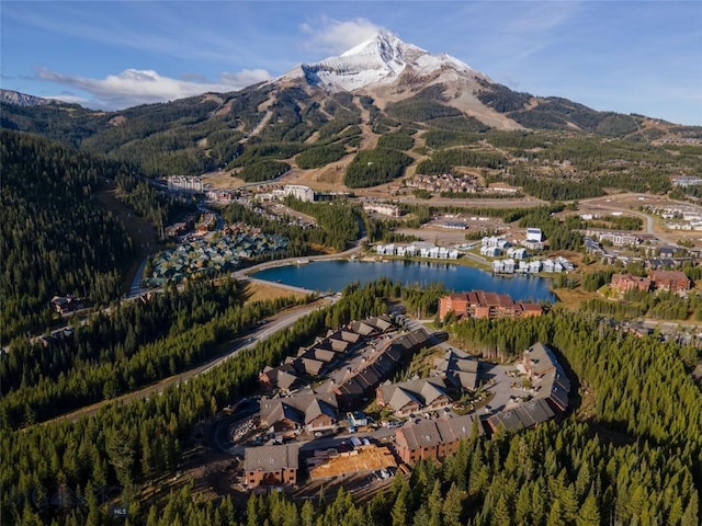 birds eye view of property with a water and mountain view