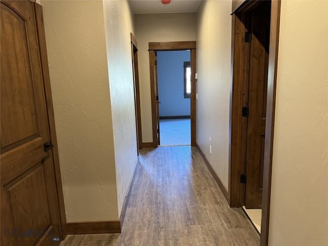 hallway featuring light hardwood / wood-style flooring