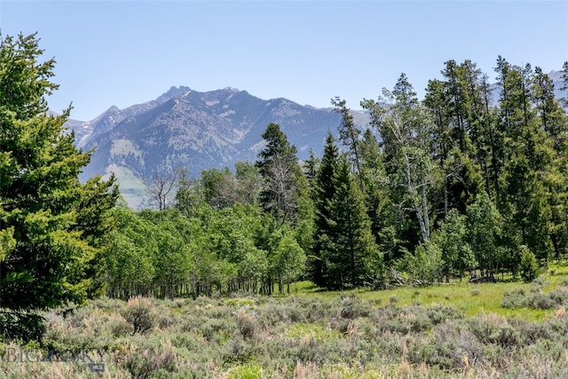 Listing photo 2 for LOT40 Sun W Rnch, Cameron MT 59720