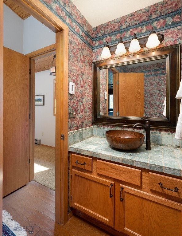 bathroom featuring vanity and wood-type flooring