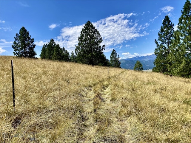 Listing photo 3 for TRACT1 Deemer Ridge Rd, Plains MT 59859