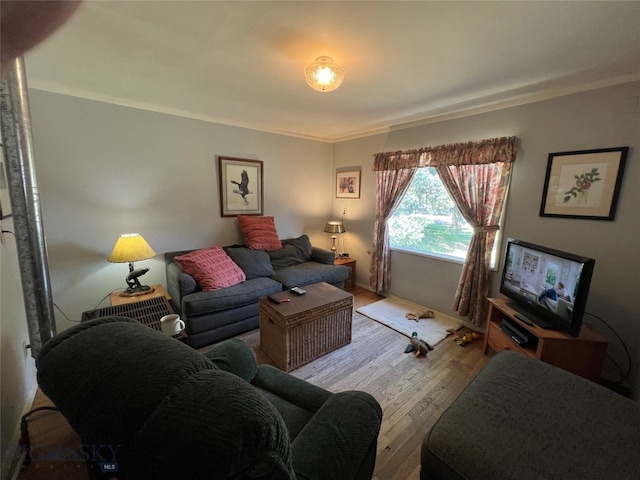 living room featuring crown molding and light hardwood / wood-style floors