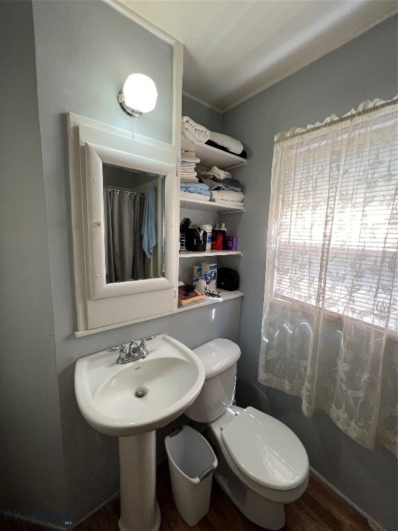 bathroom with toilet and wood-type flooring