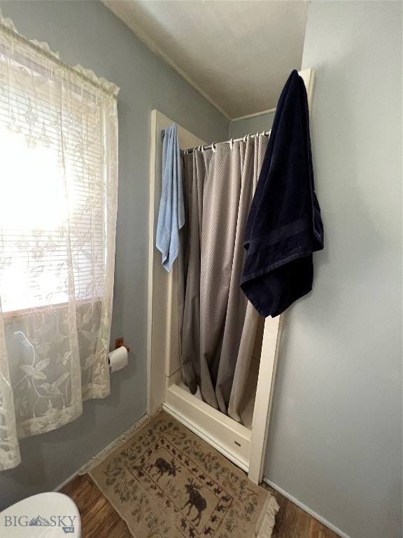 bathroom with toilet and hardwood / wood-style flooring