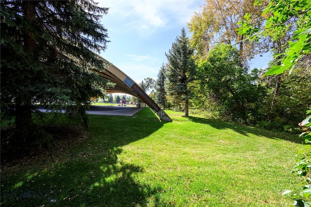 406 E Olive St, Bozeman, MT 59715 - photo 8
