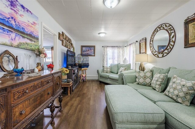 413 E 4th St, Anaconda, MT 59711 - living room featuring dark hardwood / wood-style floors and a baseboard radiator