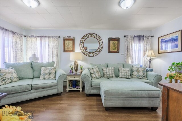 413 E 4th St, Anaconda, MT 59711 - living room featuring a wealth of natural light and hardwood / wood-style flooring