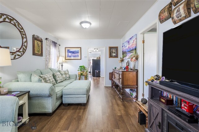 413 E 4th St, Anaconda, MT 59711 - living room featuring dark wood-type flooring