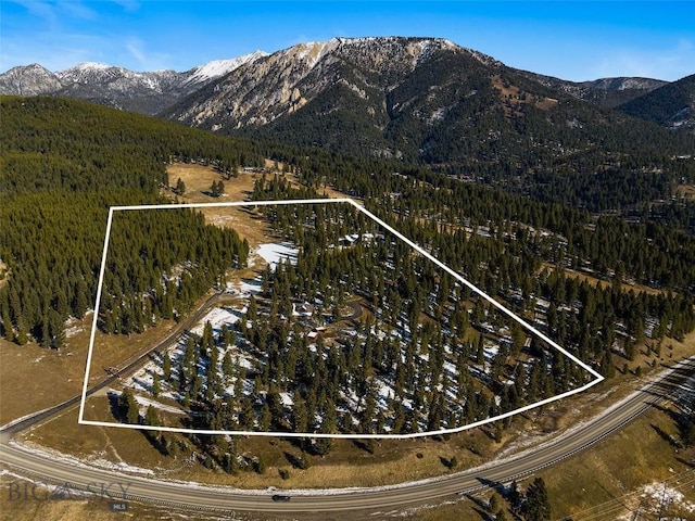 birds eye view of property with a wooded view and a mountain view