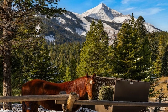 property view of mountains