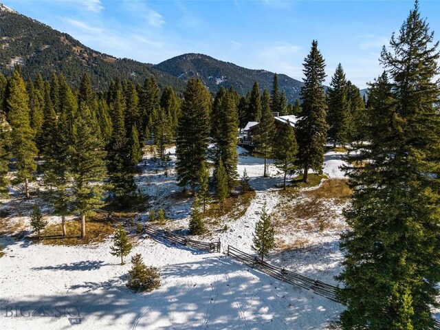 mountain view featuring a view of trees