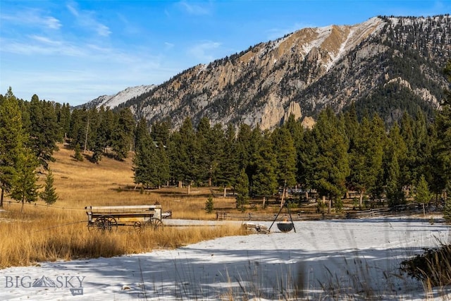 mountain view with a wooded view