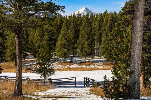 view of home's community with a forest view and a mountain view