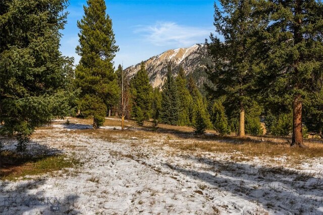 property view of mountains featuring a view of trees