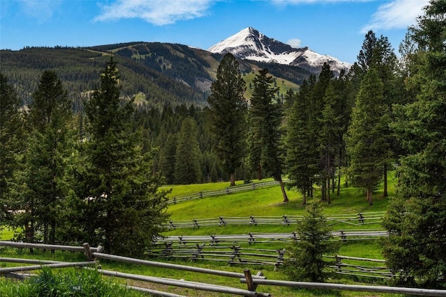 view of mountain feature with a rural view and a wooded view