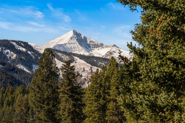 view of mountain feature with a wooded view