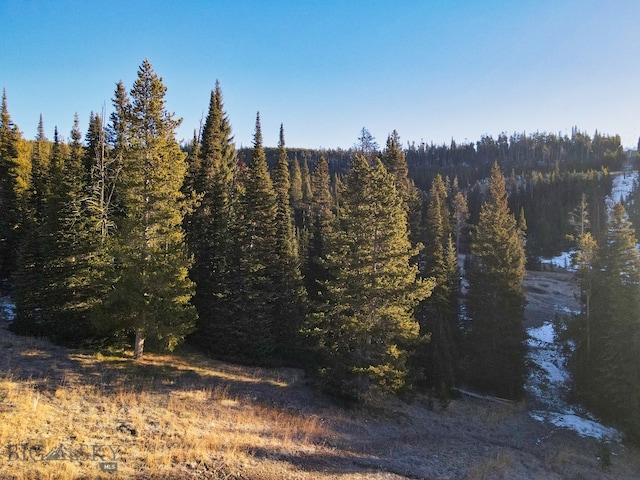 Listing photo 3 for TBD Cheyenne Rd, Big Sky MT 59716