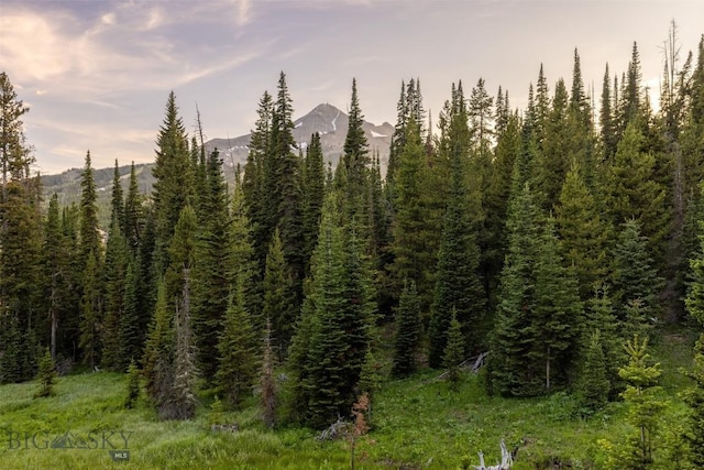 TBD Cheyenne Rd, Big Sky, MT 59716 - photo 7