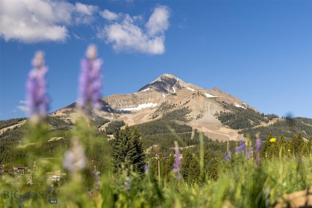 TBD Cheyenne Rd, Big Sky, MT 59716 - photo 8