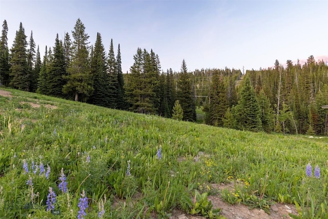 TBD Cheyenne Rd, Big Sky, MT 59716 - photo 5