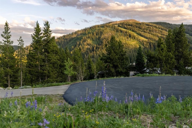 TBD Cheyenne Rd, Big Sky, MT 59716 - photo 6