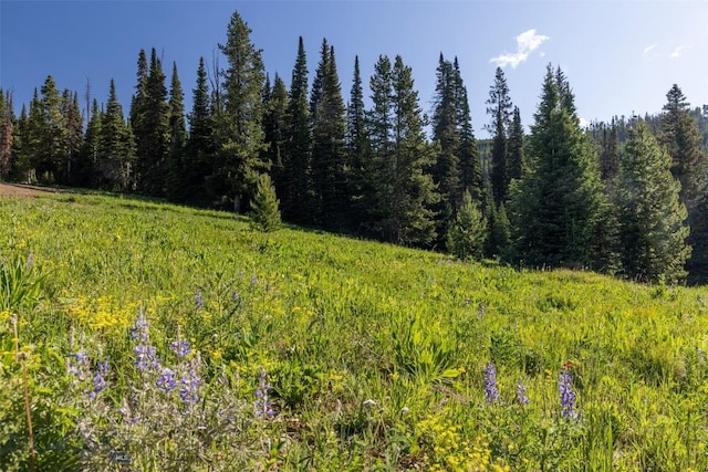 TBD Cheyenne Rd, Big Sky, MT 59716 - photo 11