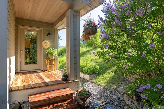 entrance to property featuring a porch