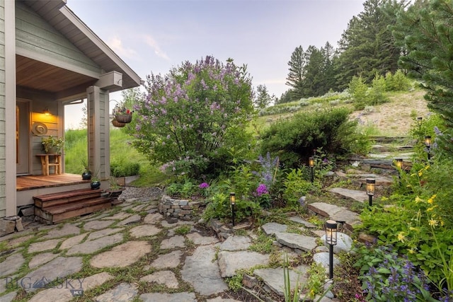 view of yard featuring a patio area