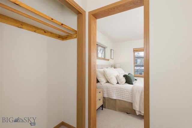 bedroom featuring carpet